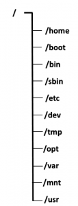 Directory structure in Linux